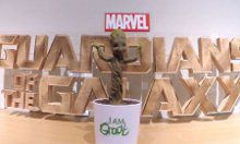 groot
