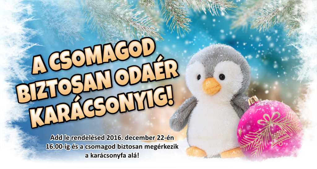 Rendelésed még biztosan odaér a fa alá...