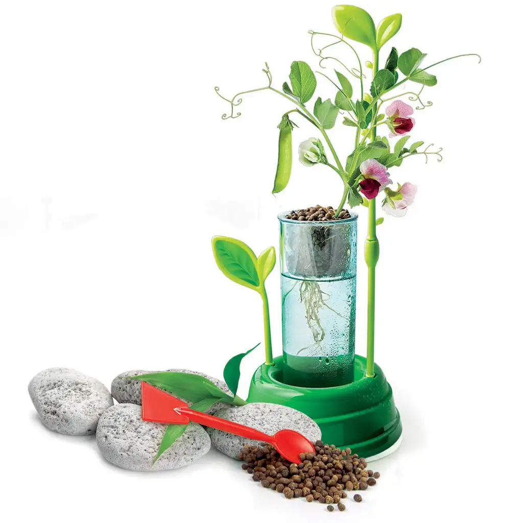 Science&amp;Play: Hidroponikus botanikai labor - Clementoni - 2. kép