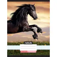 Nebulo: Tűzött kockás - Ló a naplementében mintás füzet 87-32 A/4