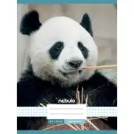 Nebulo: Tűzött kockás panda mintás füzet 87-32 A/4