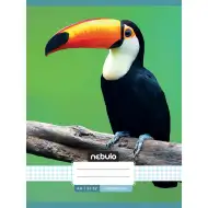 Nebulo: Tűzött kockás tukán mintás füzet 87-32 A/4