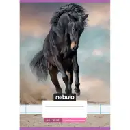 Nebulo: Tűzött 3. osztályos vonalas füzet A5-ös 12-32 Cuki minták - Lovas