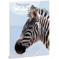 Ars Una: Máté Bence The Eyes of the Wild - Zebra A/4 gumis dosszié