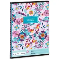 Ars Una: Catalina Estrada szitakötős 1.osztályos vonalas füzet A/5 14-32