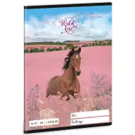 Ars Una: Wild and Free lovas 2.osztályos vonalas füzet A/5