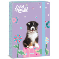 Ars Una: Cute animals - Aussie kutyás füzetbox A/4