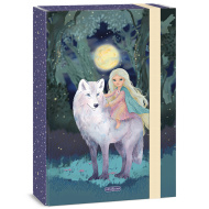 Ars Una: Northern Lights füzetbox A/4