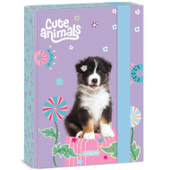 Ars Una: Cute animals - Aussie kutyás füzetbox A/5