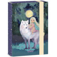 Ars Una: Northern Lights füzetbox A/5