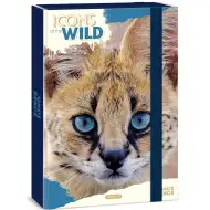 Ars Una: Icons of the Wild Serval A/4 füzetbox