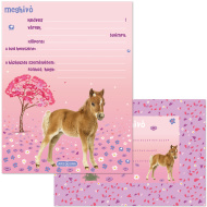 Ars Una: Cute Animals Horse lovas 10db-os meghívó szett borítékkal