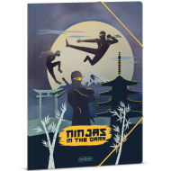 Ars Una: Ninjas in the dark gumis mappa A/4