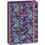 Ars Una: Cataline Estrada majmos gumis füzetbox A/4-es