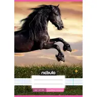 Nebulo: Lovacska a naplementében 4.osztályos vonalas füzet A/5 21-32