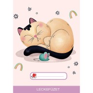 ICO: Süni Dreaming Cat mintás leckefüzet A/5-ös