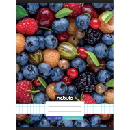 Nebulo: Tűzött kockás gyümölcsös mintás füzet 87-32 A/4