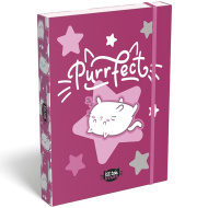 ICO: Lizzysuli Kittok stars cicás gumis füzetbox A/5