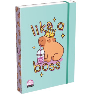 ICO: Lizzysuli Lollipop Capybara mintás füzetbox A/4