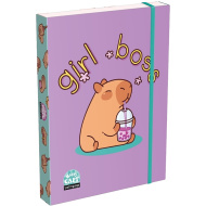 ICO: Lizzysuli Lollipop Capybara mintás füzetbox A/5