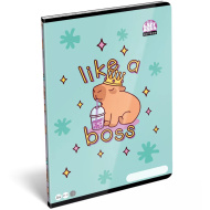 ICO: LizzySuli Lollipop Capybara mintás kockás füzet A/4 27-32