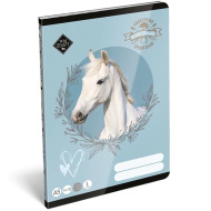 ICO: Lizzysuli Wild Beauty Sport Club 1.osztályos vonalas füzet