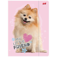My Little Friend Sweet Pomeranian gumis mappa A/4-es méretben