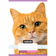 Nebulo: Tűzött 4. osztályos vörös cica mintás vonalas füzet 21-32 A/5