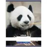 Nebulo: Panda sima füzet A4 80-32