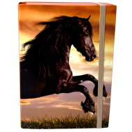 Nebulo: Füzetbox A/5-ös méretben fekete ló mintával