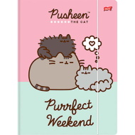 Pusheen gumis mappa A/4-es méret