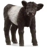 Schleich: Galloway borjú figura (13969)