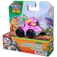 Mancs Őrjárat: Dino Movie Skye mini repülő 6,4cm - Spin Master