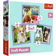 Cuki kutyusok 3 az 1-ben 50-36-20db-os puzzle - Trefl