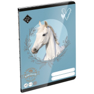 ICO: LizzySuli Wild Beauty Sport Club kockás füzet A/5 27-32