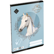 ICO: LizzySuli Wild Beauty Sport Club 3. osztályos vonalas füzet A/5 12-32