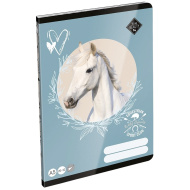 ICO: LizzySuli Wild Beauty Sport Club sima füzet A/5 20-32