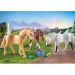 Playmobil: Lovas szett Morgan, Quarter &amp; Shagya (71356)