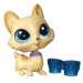 Littlest Pet Shop: Corgi Regalton kiskedvenc figura - Hasbro