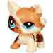 Littlest Pet Shop: Picurka macska sétáló kiskedvenc - Hasbro