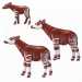 Playmobil: Okapik és a kis okapi borjú (6643)