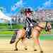 Playmobil: Német lovagló póni karámmal (5111)