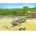 Playmobil: Aligátor és kicsinyei (6644)