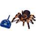 Távirányítós tarantula pók