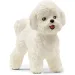 Schleich: Bichon Frise kutya figura (13963)