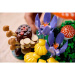 LEGO® Botanicals: Erdei gombák (11505)
