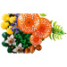 LEGO® Botanicals: Erdei gombák (11505)