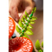 LEGO® Botanicals: Erdei gombák (11505)