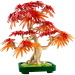 LEGO® Botanicals: Vöröslevelű japán juhar bonsai (10348)