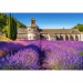 Levendula rét Provence-ban 1000db-os puzzle - Castorland